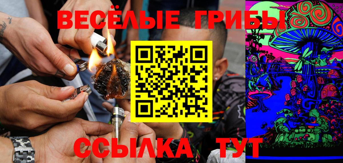 Электросталь  Галлюциногенные грибы MAGIC MUSHROOMS  Вход с VPN 