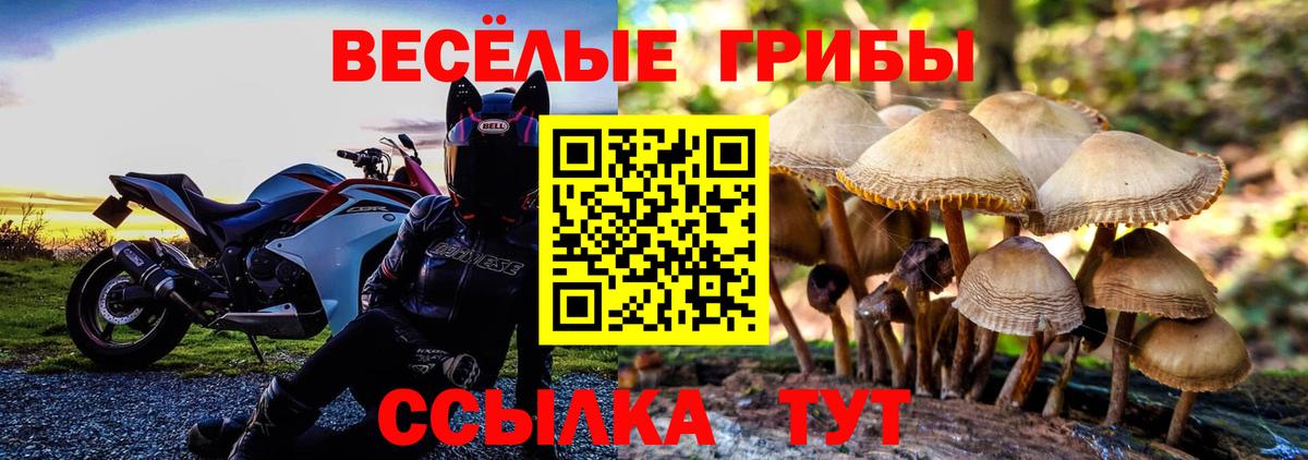 Галлюциногенные грибы MAGIC MUSHROOMS Электросталь